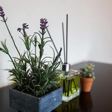 Aphrodite's Ionian Apartment *