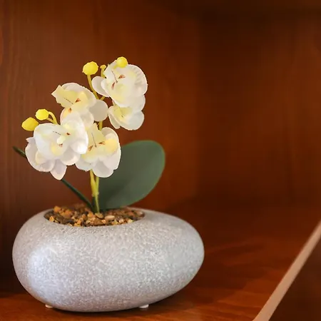 Appartement Aphrodite's Ionian Corfu (city)