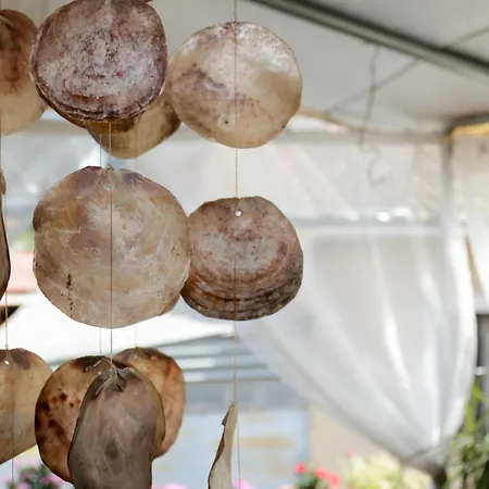 Aphrodite's Ionian *